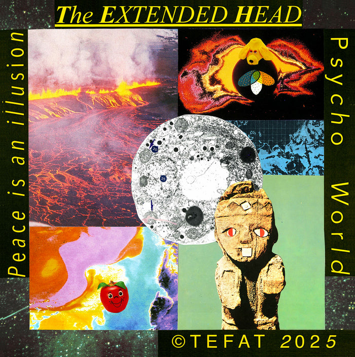 THE EXTENDED HEAD Psycho World