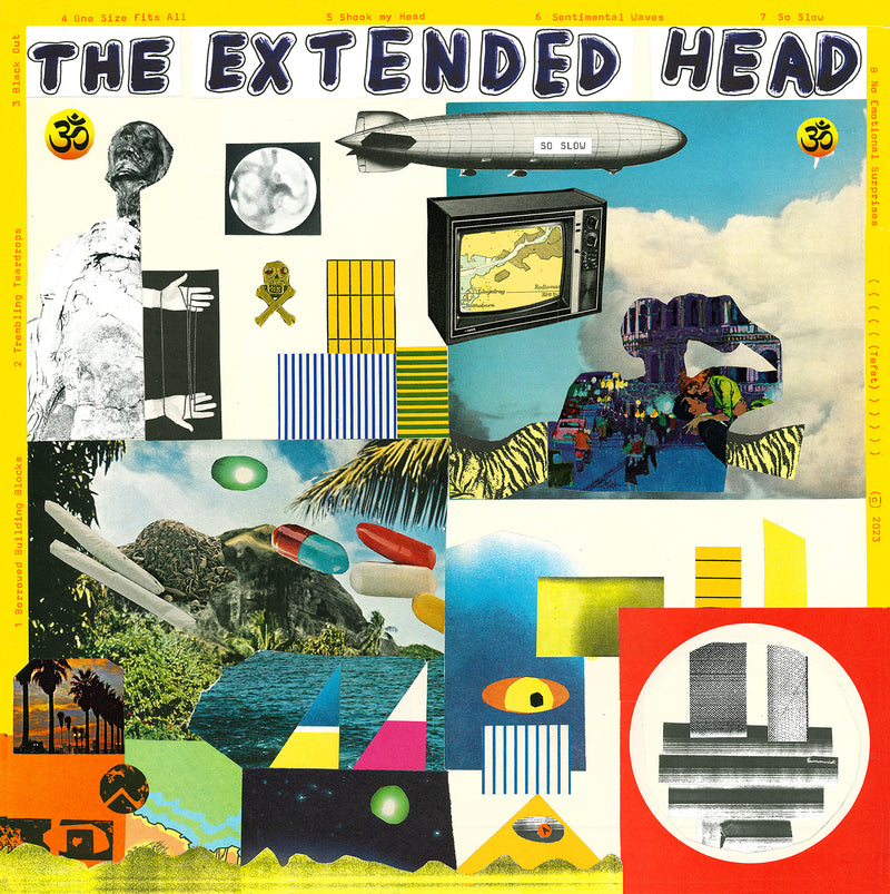THE EXTENDED HEAD So Slow
