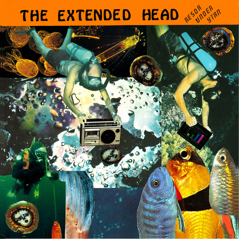 THE EXTENDED HEAD Resor under ytan