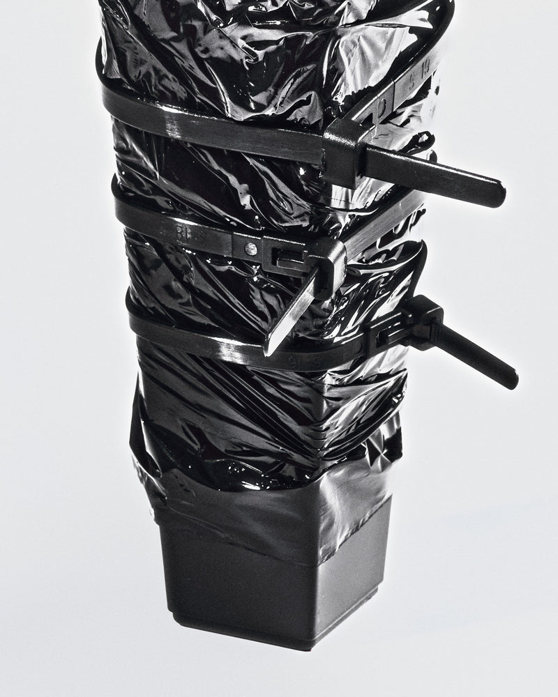 JOY CHAIR ONE Nyx & Mapplethorpe